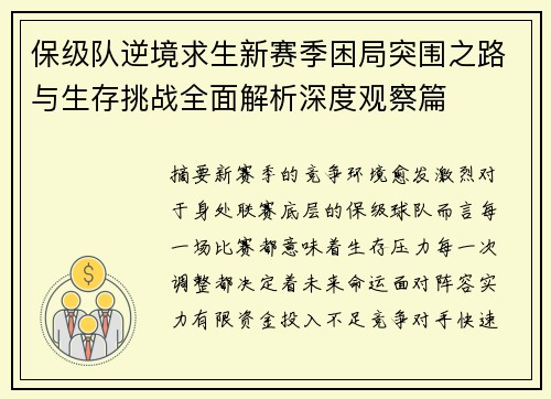 保级队逆境求生新赛季困局突围之路与生存挑战全面解析深度观察篇